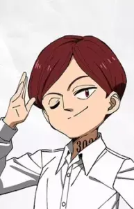 Nat image